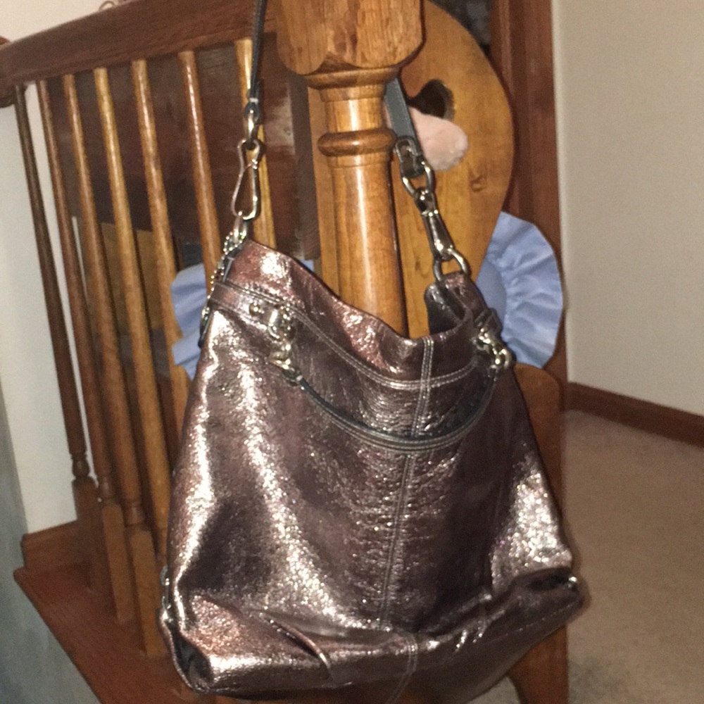 Metallic Coach Purse